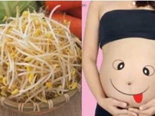 Loạt thực phẩm dễ tổn thương thai nhi, bà bầu tuyệt đối không nên ăn