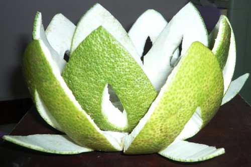 Thứ “cho không ai lấy” của quả bưởi chính là "thần dược" giảm cân nhanh, hầu hết chị em đều bỏ phí