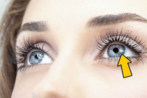 Những thực phẩm tốt cho mắt