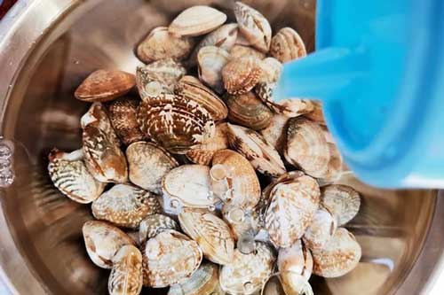 Tuyệt chiêu khiến ngao nhả sạch cát không còn một hạt