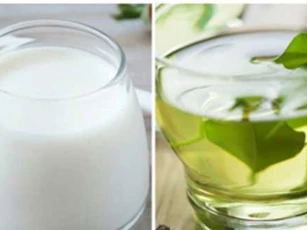4 thực phẩm giúp chữa bệnh dạ dày mà không cần dùng thuốc tây