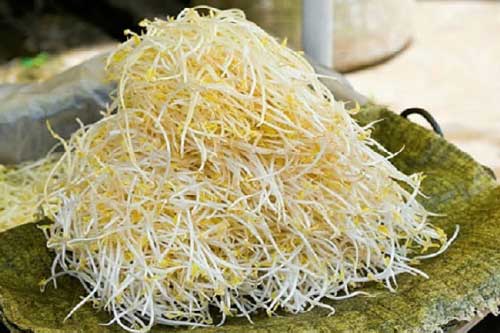 Giá đỗ thấy có màu này chớ dại đụng vào kẻo rước bệnh vào thân