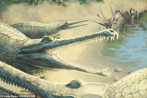 Sự thật bất ngờ đằng sau hóa thạch cá sấu kỷ Jura dài gần 4,5 mét