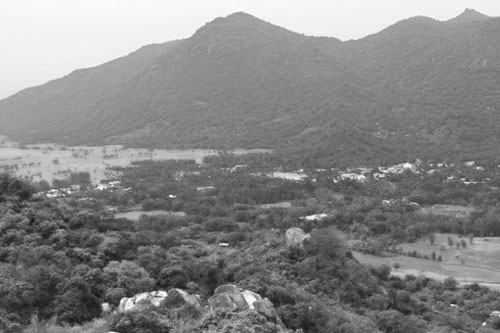 Những chuyện kể ly kỳ về rắn “khổng lồ” ở núi Cấm