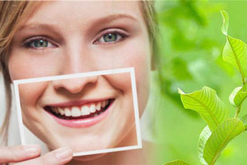 Cách trị hôi miệng bằng lá ổi đơn giản mà hiệu quả bất ngờ