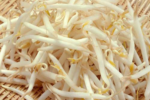 Tuyệt chiêu giảm cân bằng giá đỗ cực hiệu quả