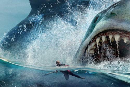 Kích thước chính xác của siêu quái vật Megalodon cuối cũng cũng được xác định