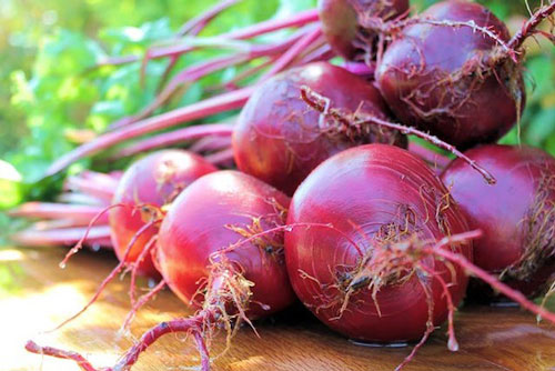 Củ dền đỏ có tác dụng gì đối với sức khỏe?