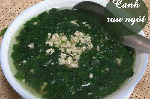 Tác hại không ngờ của mồng tơi, rau ngót và rau răm