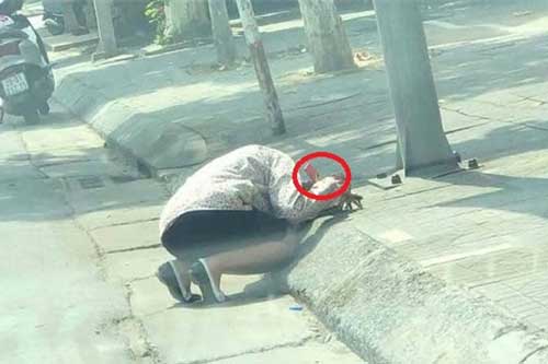 Giật mình vì người phụ nữ gục bên lề đường giữa trưa nắng nhưng sự thật mới khiến mọi người bất ngờ