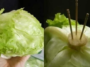 Cắm 3 que tăm vào cuống xà lách, ai ngờ lại có tác dụng kỳ diệu