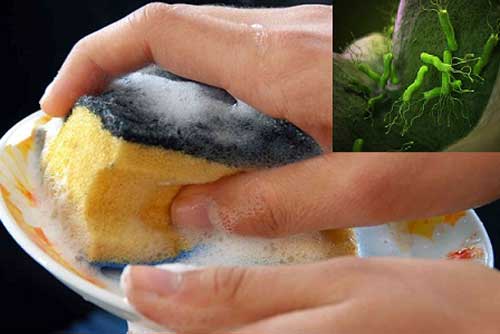 3 vật này trong nhà bếp có dấu hiệu bất thường này cần vứt ngay kẻo rước bệnh