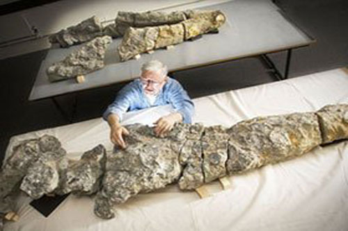 Bất ngờ về thức ăn của bò sát cổ đại