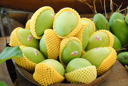 &#x110;&#xE3; c&#x1EA5;p h&#x1A1;n 1.700 m&#xE3; s&#x1ED1; v&#xF9;ng tr&#x1ED3;ng cho tr&#xE1;i c&#xE2;y xu&#x1EA5;t kh&#x1EA9;u sang Trung Qu&#x1ED1;c