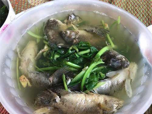 Những bát canh trong "vũ trụ" ghét bếp, không nghiện nhà chưa bao giờ hết tấu hài, nhìn thôi cũng khỏi muốn ăn rồi