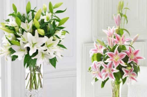 Bí quyết lướt qua 5 giây biết ngay đâu là hoa ly mới cắt, đâu là ly đông lạnh lâu ngày