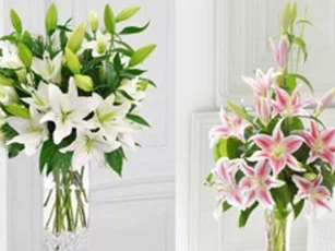 Bí quyết lướt qua 5 giây biết ngay đâu là hoa ly mới cắt, đâu là ly đông lạnh lâu ngày