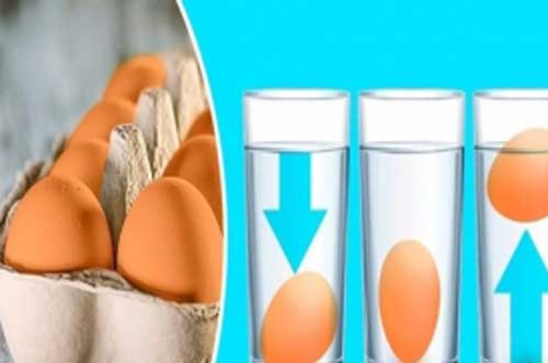Mẹo nhận biết độ tươi mới của trứng rất hay và đơn giản