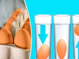 Mẹo nhận biết độ tươi mới của trứng rất hay và đơn giản