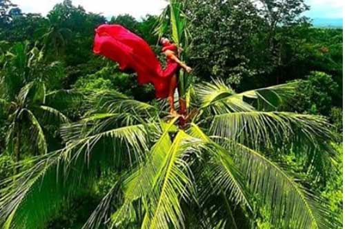 Chụp ảnh cưới studio xưa rồi, trèo lên ngọn dừa cao chót vót để bung lụa mới là "hot hòn họt" và không bao giờ lo đụng dáng