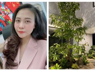 Cường Đô La khoe góc vườn sang chảnh, Đàm Thu Trang lại gây xao xuyến với ảnh cận mặt hậu sinh nở