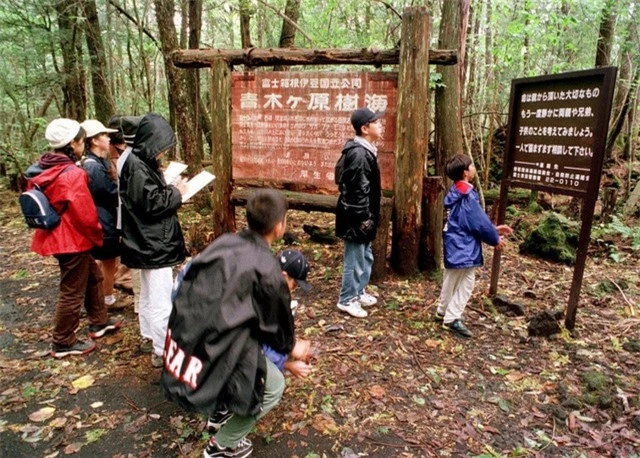 Ngay cổng khu rừng Aokigahara có bảng ghi chú “Cuộc sống là món quà quý giá” từ cha mẹ để khuyên những ai đến đây tự tử. Ảnh: Dân trí