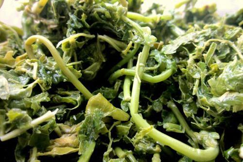 Về đất Tổ nếm thịt chua, ăn rêu đá, ngắm rừng cọ đồi chè bát ngát mênh mông