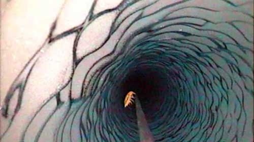 Bí ẩn ‘hồ ma quỷ’ bị 'giam cầm' 25 triệu năm dưới lớp băng dày 4km