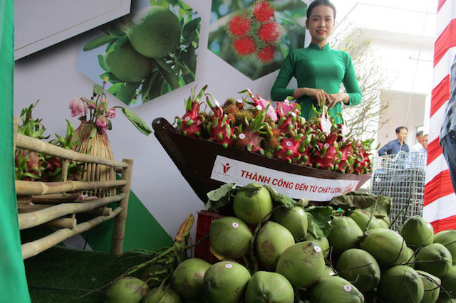 Lợi thế hơn 'đối thủ', rau quả Việt ồ ạt xuất châu Âu