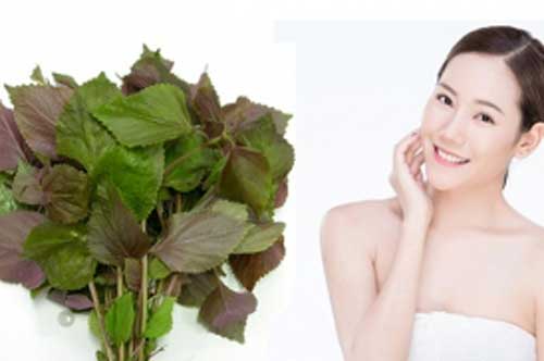 3 cách "cải lão hoàn đồng" cho làn da bằng lá tía tô chị em cần biết