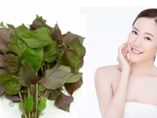 3 cách "cải lão hoàn đồng" cho làn da bằng lá tía tô chị em cần biết