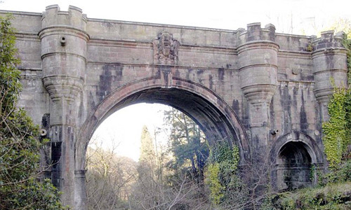 Bí ẩn rợn người về cây cầu khiến chó đi qua phải nhảy xuống tự tử