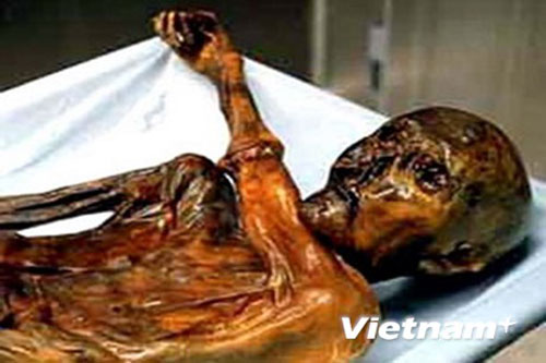 'Lời nguyền' kinh hoàng của xác chết 5.300 năm