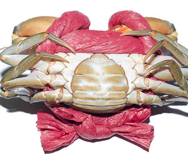 Cách chọn cua ghẹ ngon, ai cũng nên biết để không bị người bán hàng qua mặt