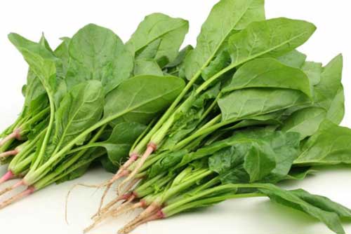 4 loại rau họ cải giúp trẻ hấp thụ canxi tốt hơn sữa tươi