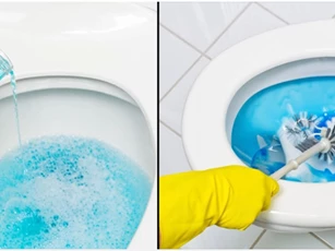 Phát hiện điều kì diệu khi vô tình đổ nước súc miệng vào bồn cầu