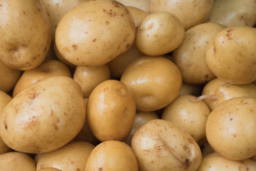 7 thực phẩm tốt cho đường ruột