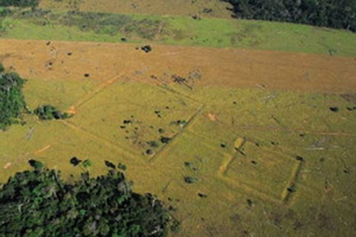 Bí ẩn vết tích của nền văn minh Amazon cổ