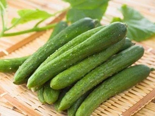 Công dụng chữa bệnh tuyệt vời của dưa chuột