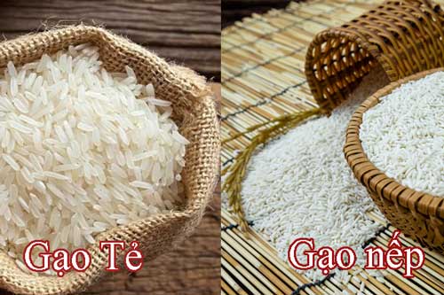 Ăn gạo nếp hay gạo tẻ béo hơn?