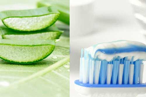 Kem đánh răng mà kết hợp với 2 loại nguyên liệu này sẽ làm da bạn trắng bật tông trông thấy