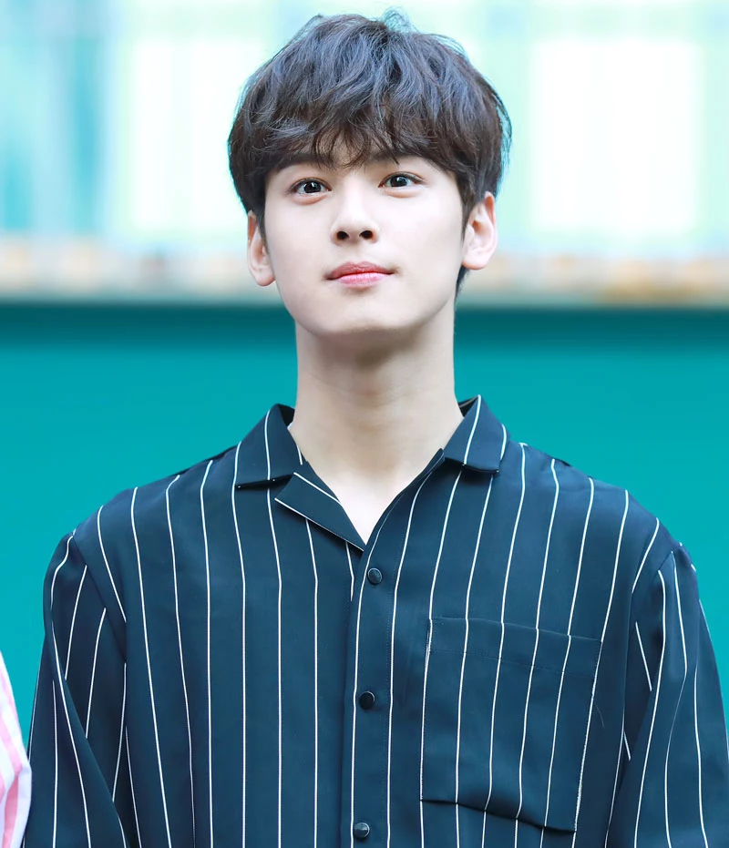 9. Cha Eun Woo (ASTRO).