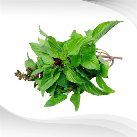 Sweet-Basil