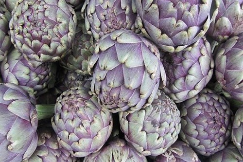 Khám phá tác dụng ngăn ngừa ung thư và chống lão hóa của Atiso