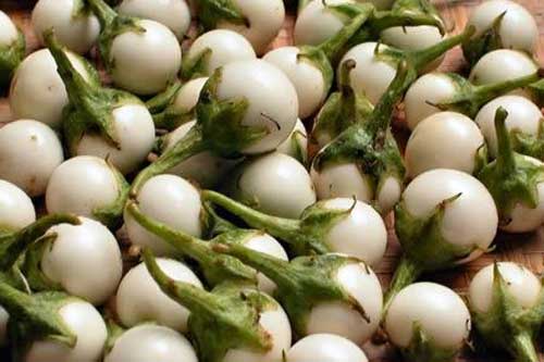 Những người thực sự không nên ăn cà