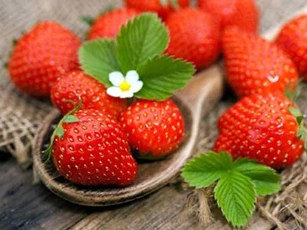 6 loại quả vừa ngon vừa bổ, ai không ăn là thiệt