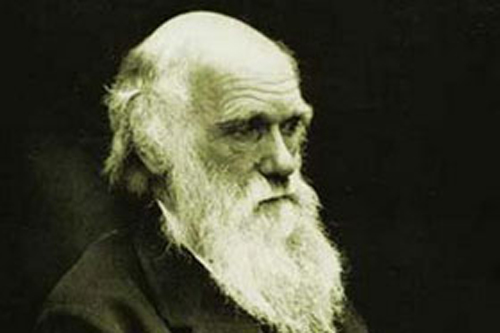 Tổ tiên của Charles Darwin có gốc từ châu Phi