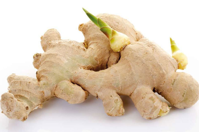 Bài thuốc hay trị mất ngủ từ gừng