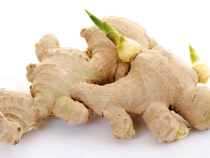 Bài thuốc hay trị mất ngủ từ gừng