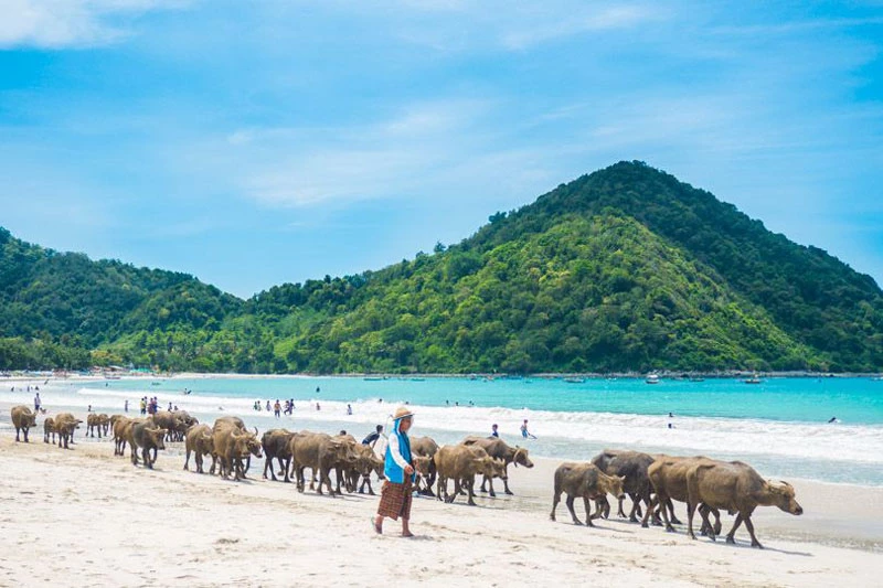 9. Bãi biển Selong Belanak, Indonesia.